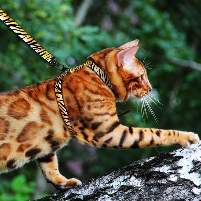 Cat Harness and Leash Escape Proof, Adjustable Soft Cat Collar and Leash for Outdoor Walking & Travel with Breathable Nylon, 4.9ft Cat Harness - Lightweight & Safe Small Kitten Leash [XS]