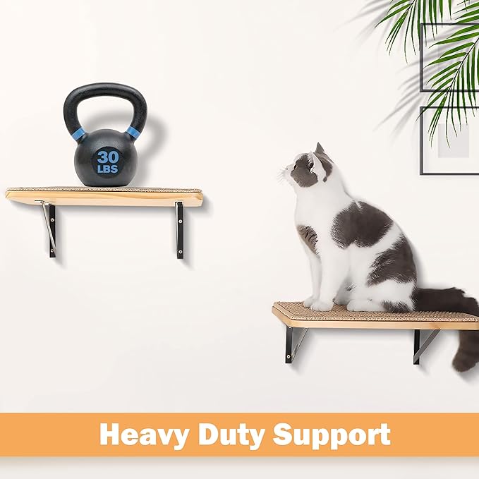 2PCS Cat Wall Shelves with Cat Scratching Mat, 16.6x9.7 Inch Large Cat Wall Hammock Cat Wall Furniture Cat Shelf Cat Window Perch Wall Mounted Beds for Sleeping, Playing, Climbing, Support to 30 LBS