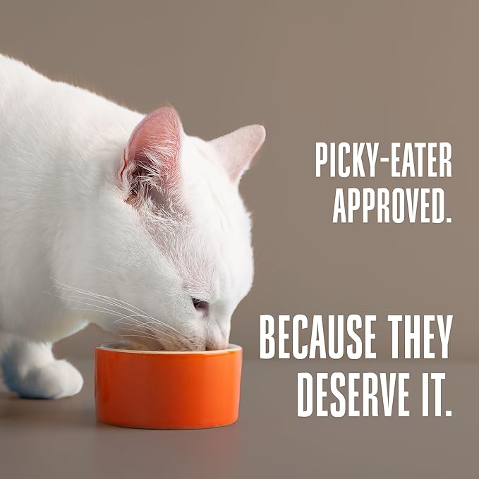 Whole Life Pet Freeze Dried Cat Food - Human-Grade Wet Cat Food Toppers & Complement, Natural Broth for Cats, Hydrating Snacks, Lickable Treats, Just Add Water – Shredded Chicken, 3 Oz