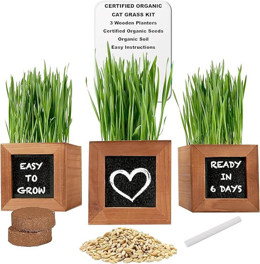 Organic Indoor Cat Grass Kit - 3 Wooden Planters, Certified Seeds, and Premium Soil for Happy Cats. Delight Your Feline Friends with The Ultimate Cat Grass Experience! Ideal Gift for Cat Lovers.