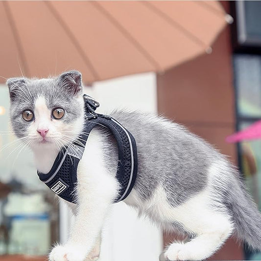 Cat Harness and Leash Set, Escape Proof Safe Adjustable Kitten Vest Harnesses for Walking, Easy Control Soft Breathable Mesh Jacket with Reflective Strips for Cats（Black Mesh，XXS）
