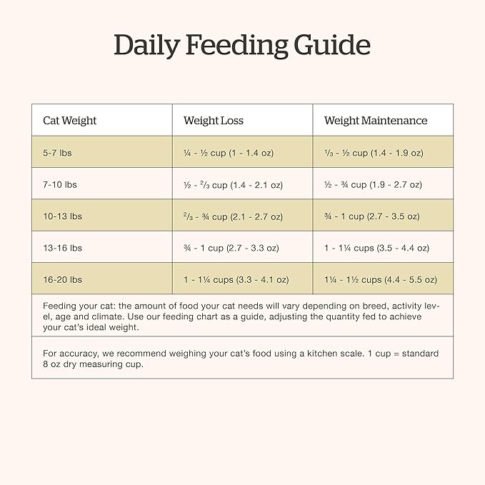 Now Fresh Grain-Free, Dry Cat Food, Turkey, Salmon and Duck Kibble, Real Meat and Fish Senior Recipe, 16 lb Bag