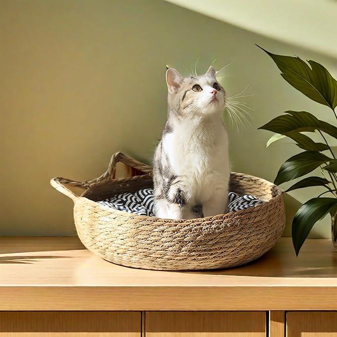 Woven Cat Bed for Indoor Cat,Straw Cat Nest- Wicker Bed for Cat/Dog/Pet with Cushion, Pillow, and Bamboo Mat - Handmade Cat House - Large Cat Basket Bed, Rattan Cat Bed
