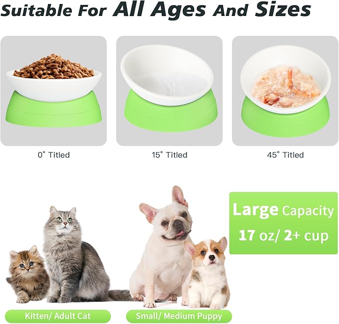 Cat Bowls Elevated Cat Food Bowl Adjustable Cat Dish Anti-Slip and Anti-Noise Raised Cat Bowl Protecting Pet’s Spine Thickened Plastic Bowl Suitable for Indoor Cats, 17 Oz
