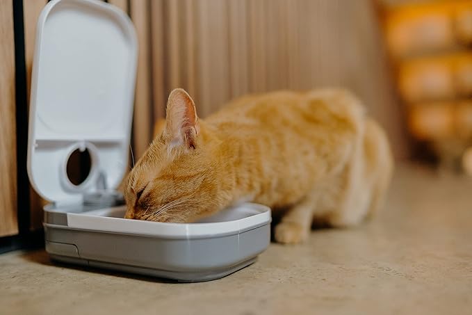 Cat Mate C100 Single Meal Automatic Pet Feeder for Cats and Small Dogs (no ice Pack)
