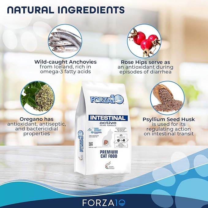 Forza10 Active Intestinal Support Diet Dry Cat Food for Adult Cats, Cat Food Dry for Upset Stomach, Diarrhea and Intestinal Disorders, Wild Caught Anchovy Flavor, 4 Pound Bag