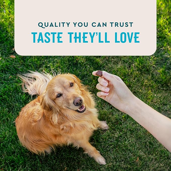 VetIQ Advanced Hip & Joint Chews For Dogs, 60 Count, Chicken Flavored Supplements Made with Glucosamine, Omega 3’s, Chondroitin, MSM, and Green Lipped Mussel, Increases Mobility and Maintains Muscles