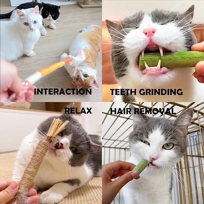 Cat Toys 12Pack Cat Grass Treat Catnip Toy with Silvervine for Indoor Kitten Toys Wood Cat Chew Rope Kitten Grass Stick for Teeth Cleaning Cat Snack for Kitty Cat Nip Dental Care Cat Self Play
