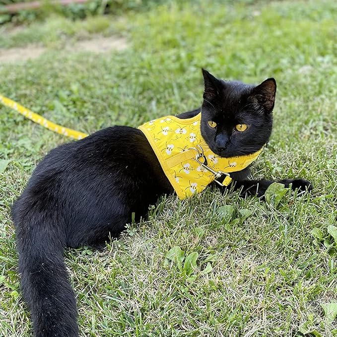 BINGPET Cat Harness with Leash and Collar for Walking - Escape Proof with 59 Inches Leash - Adjustable Soft Vest Harnesses for Medium Large Cats Bee