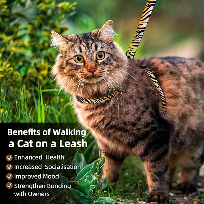 Cat Harness and Leash Escape Proof, Adjustable Soft Cat Collar and Leash for Outdoor Walking & Travel with Breathable Nylon, 4.9ft Cat Harness - Lightweight & Safe Small Kitten Leash [XS]