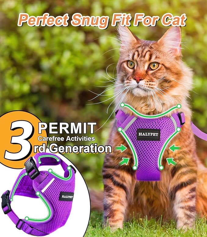 Halypet Cat Harness and Leash Set [ MAX Safety Third Generation ] Escape Proof Soft Adjustable Cat Leash Breathable Comfortable Vest Easy to Wear Kitten Harness for Outdoor Walking Purple Small