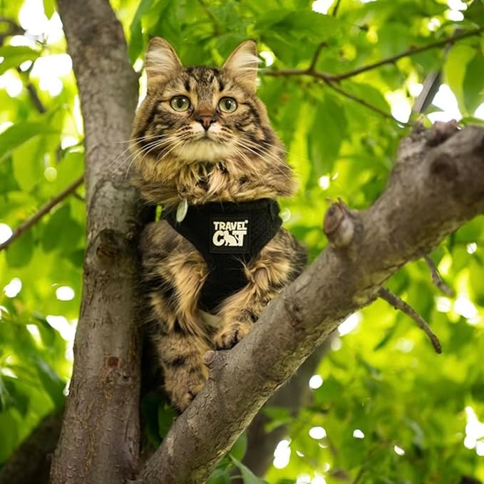 Travel Cat Harness and Leash Set - Adjustable Fit Mesh Cat Harness and Reflective Strap - Comfort Escape Proof Harness for Cats, Kitten for Outdoor Walking, Hiking (Medium, Black)