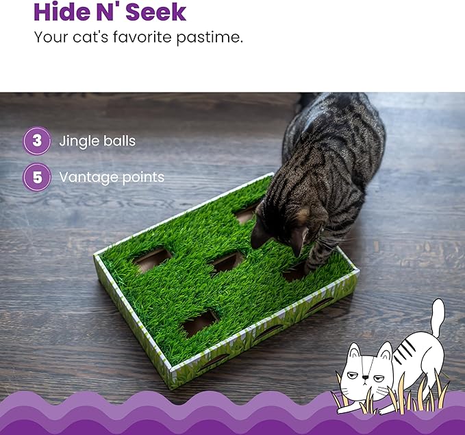 Catstages Grass Patch Hunting Box Cat Toy