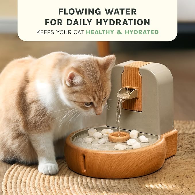 Cat Water Fountain – Eco-Friendly Zen Cat Fountain with Feng Shui Design, Bioplastic Wheat-Based Material, Splash-Free, Easy to Clean, Premium Filtration, Water Fountains for Cats Indoor