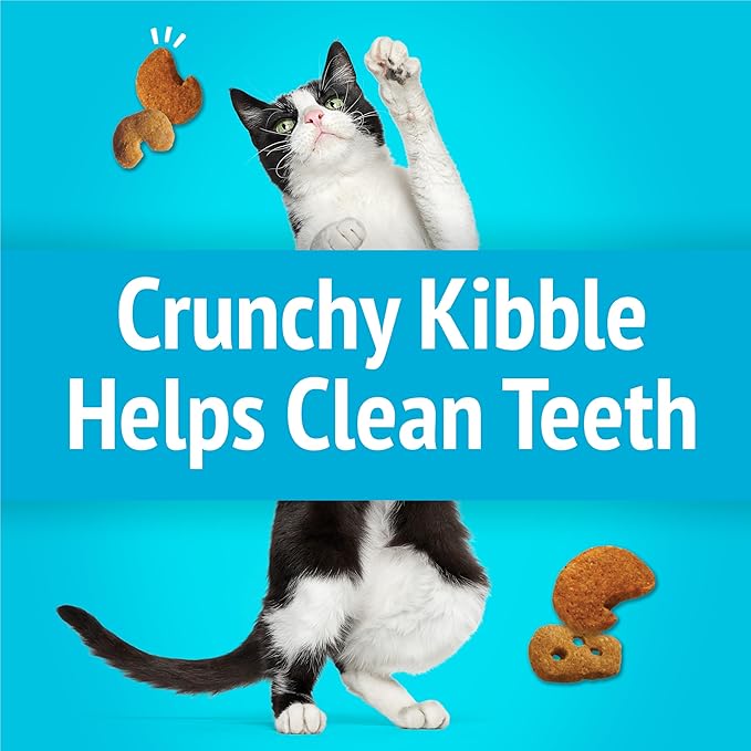 Purina Friskies Cat Treats, Party Mix Lobster & Mac 'N' Cheese Flavors - (Pack of 10) 2.1 oz. Pouches