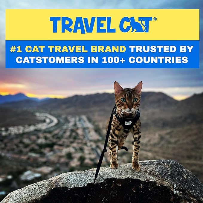 Travel Cat Harness and Leash Set - Adjustable Fit Mesh Cat Harness and Reflective Strap - Comfort Escape Proof Harness for Cats, Kitten for Outdoor Walking, Hiking (Medium, Black)