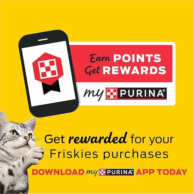 Purina Friskies Natural Cat Treats Party Mix Natural Yums With Real Salmon and Added Vitamins, Minerals and Nutrients - 20 Oz. Canister