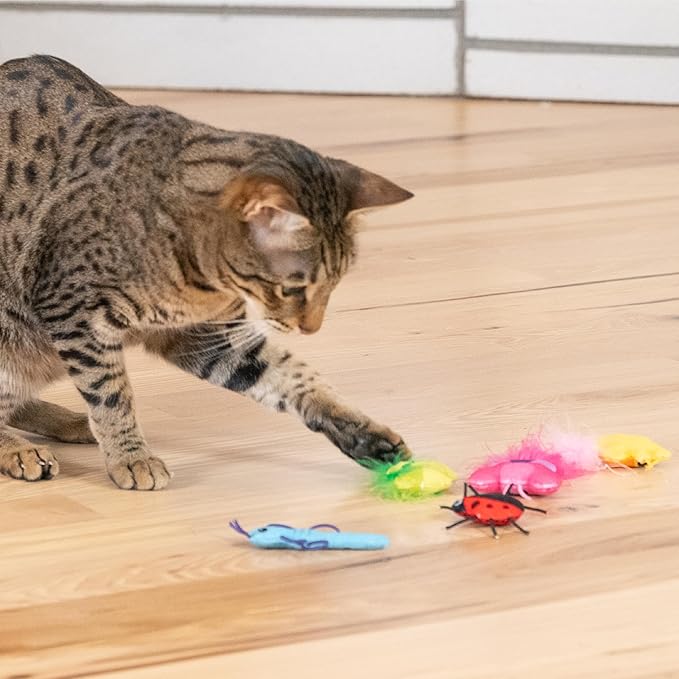Catstages Cute As A Bug Plush Interactive Cat Toys, Bug Themed Kicker Catnip Toys with Feathers, Crinkle, Mesh, 6pk, Small, Multicolored