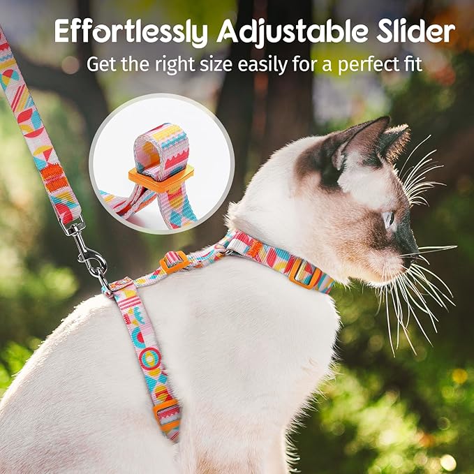 Dooradar Cat Harness and Leash, Escape Proof Adjustable Kitten Vest, Lightweight Soft Pet Straps, Easy Wearing for Small Medium Kitty Safe Walking Travel Control, Rainbow, M