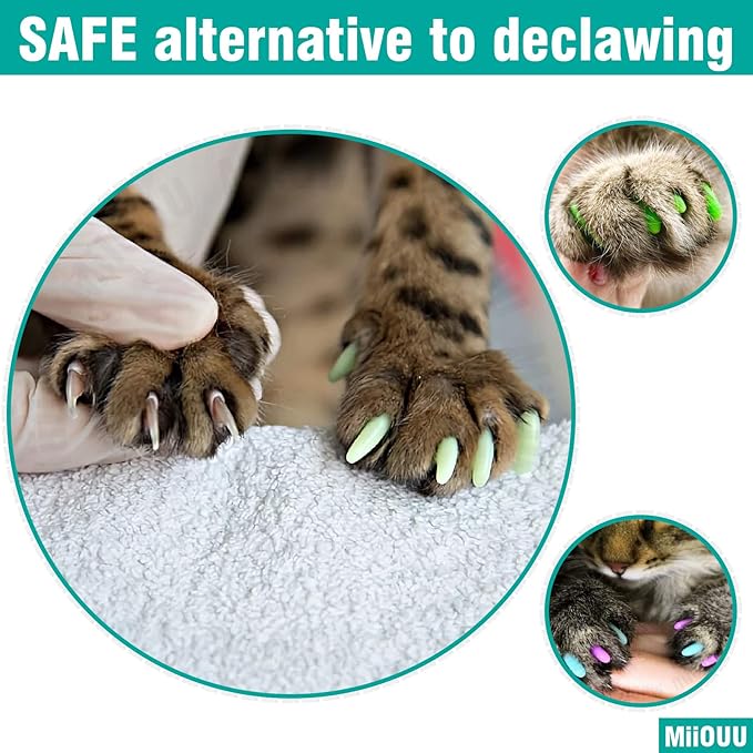 100 pcs Cat Nail Caps | Cat Claw Covers with Adhesives and Applicators | 5X Different Glitter Colors (M)