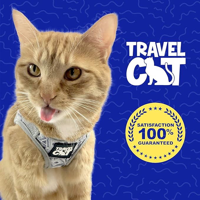 Travel Cat Harness and Leash Set - Adjustable Fit Mesh Cat Harness and Reflective Strap - Comfort Escape Proof Harness for Cats, Kitten for Outdoor Walking, Hiking (Small, Cash)