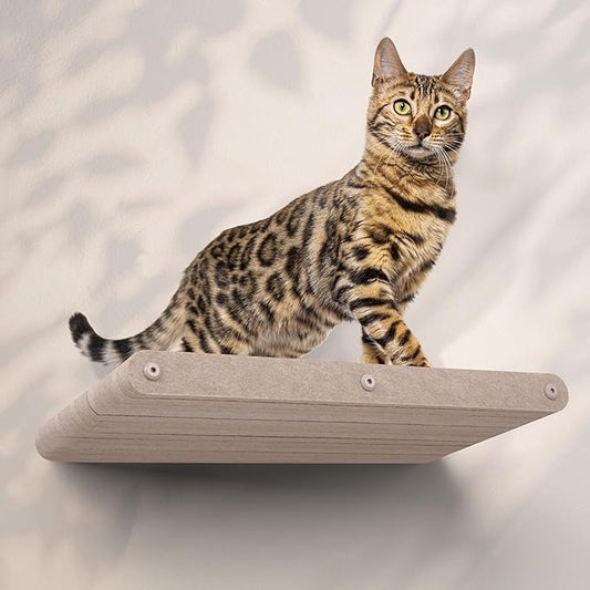 Cat Wall Bed by Pryde Pets, Perch and Cat Shelf for Wall - 100% PET Felt, Sustainable - Modular Floating Shelf for Cats, Indoor/Outdoor Cat Furniture (Oatmeal)