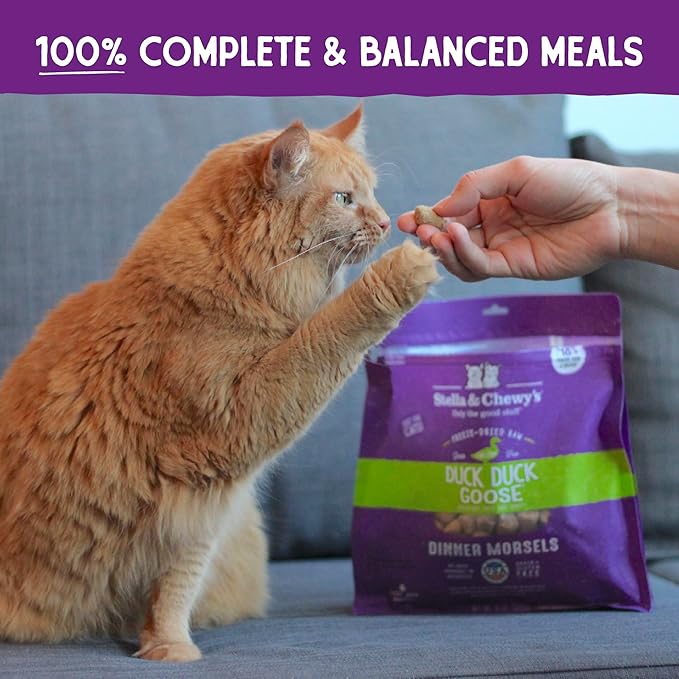 Stella & Chewy’s Freeze-Dried Raw Cat Dinner Morsels – Grain Free, Protein Rich Cat & Kitten Food – Duck Duck Goose Recipe – 3.5 oz Bag