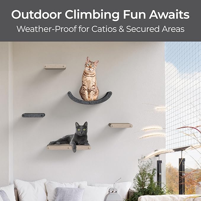 Pryde Pets Wall Mounted Cat Shelves - Set of 4 - Cat Wall Furniture to Enrich Your Feline. Modular and Modern Designed Cat Furniture for Indoor Cats (Charcoal)