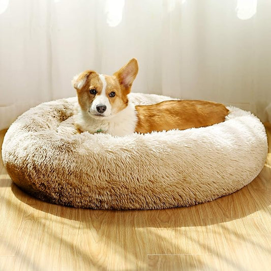 JEMA Calming Small Dog Beds for Small Dogs,Washable Donut Cuddler Pet Bed Cushions,Durable & Cozy Soft Dog Bed with Removable Pad 22 Inch