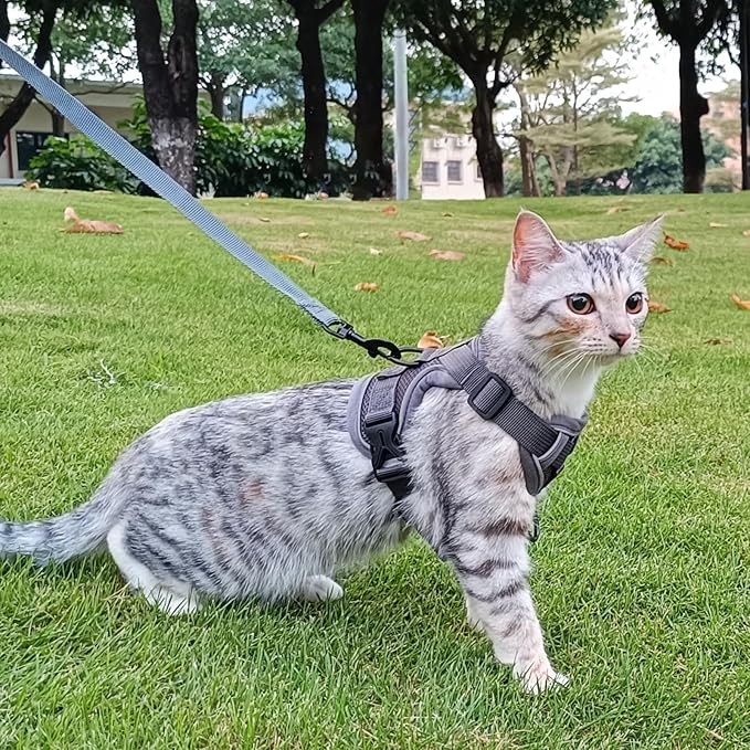 Cat Harness and Leash Set Escape Proof Tactical Extra Large Kitten Harness Emotional Support Cat Vest, Grey, XL