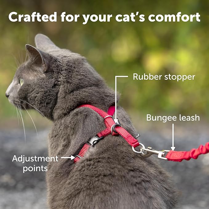 PetSafe Come with Me Kitty Harness and Bungee Leash, Medium, Lilac