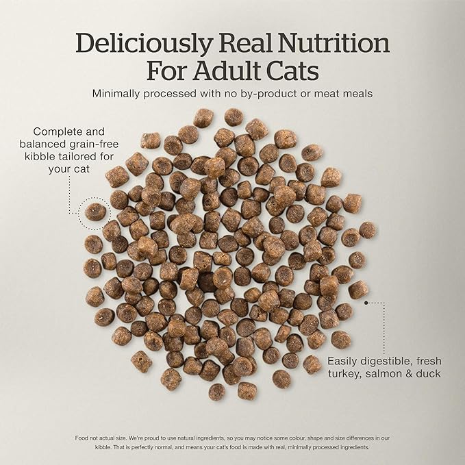 Now Fresh Grain-Free, Dry Cat Food, Turkey, Salmon and Duck Kibble, Real Meat and Fish Adult Recipe, 16 lb Bag