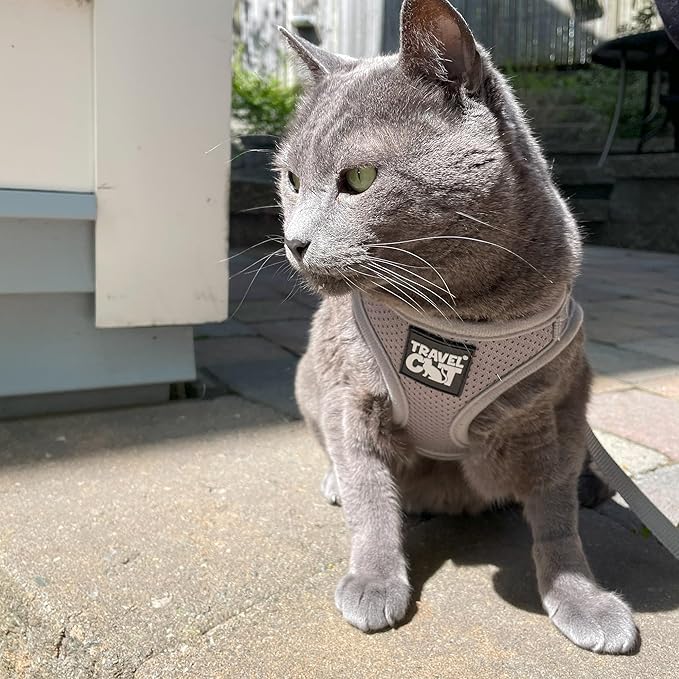 Travel Cat Harness and Leash Set - Adjustable Fit Mesh Cat Harness and Reflective Strap - Comfort Escape Proof Harness for Cats, Kitten for Outdoor Walking, Hiking (Small, Grey)