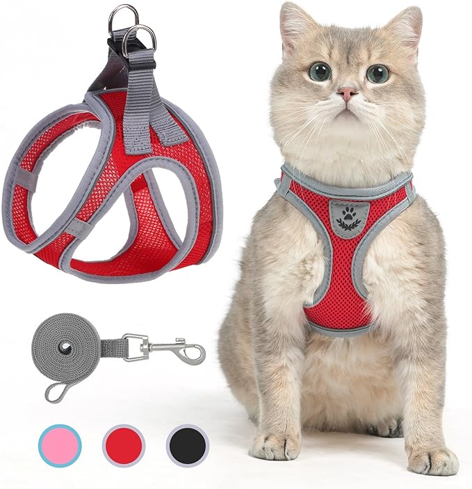SCENEREAL Cat Harness and Leash Set Escape Proof, Adjustable Soft Air Mesh Kitten Harnesses for Girls Boys Small Medium Big Cats, Reflective Light Travel Pet Walking Vest for Puppy Rabbit, Red M