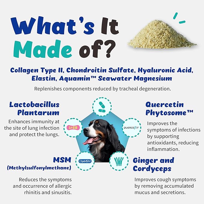 Respiratory Guardian for Dogs - Supports Lung Health, Nasal, Bronchial and Tracheal, Vegan Bacon Flavor (135g) with Quercefit® and Respiratory Probiotics