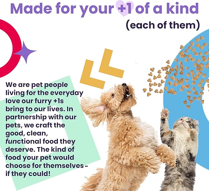 I AND LOVE AND YOU Feed Meow Move Wet Cat Food - Chicken - Hip & Joint Support Grain Free, Shredded,3oz Pack of 12