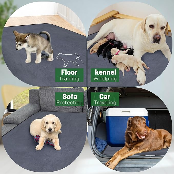 PatiencET Washable Pee Pads for Dogs, 48 x 65 Extra Large Reusable Puppy Pads