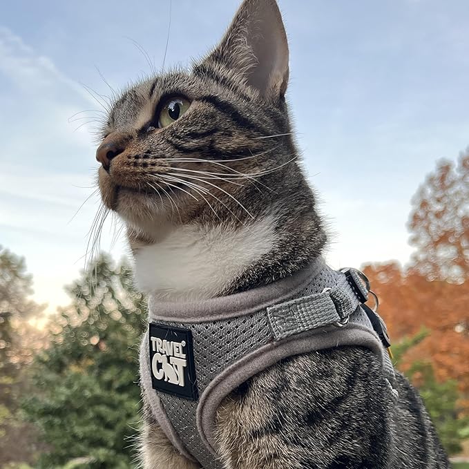 Travel Cat Harness and Leash Set - Adjustable Fit Mesh Cat Harness and Reflective Strap - Comfort Escape Proof Harness for Cats, Kitten for Outdoor Walking, Hiking (Small, Grey)