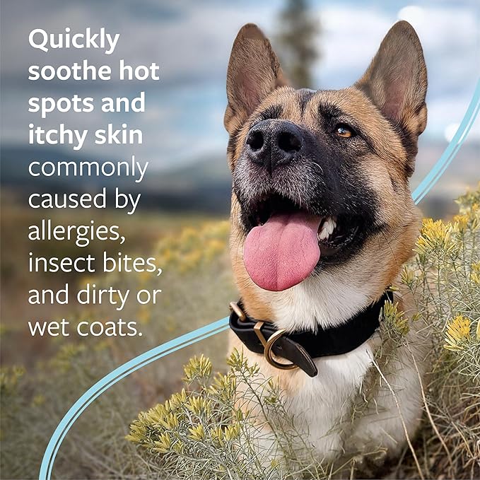 Veterinary Formula Clinical Care Hot Spot & Itch Relief Medicated Spray, 8oz – Easy to Use Spray for Dogs & Cats – Helps Alleviate Sensitive Skin, Scratching, and Licking of Coat